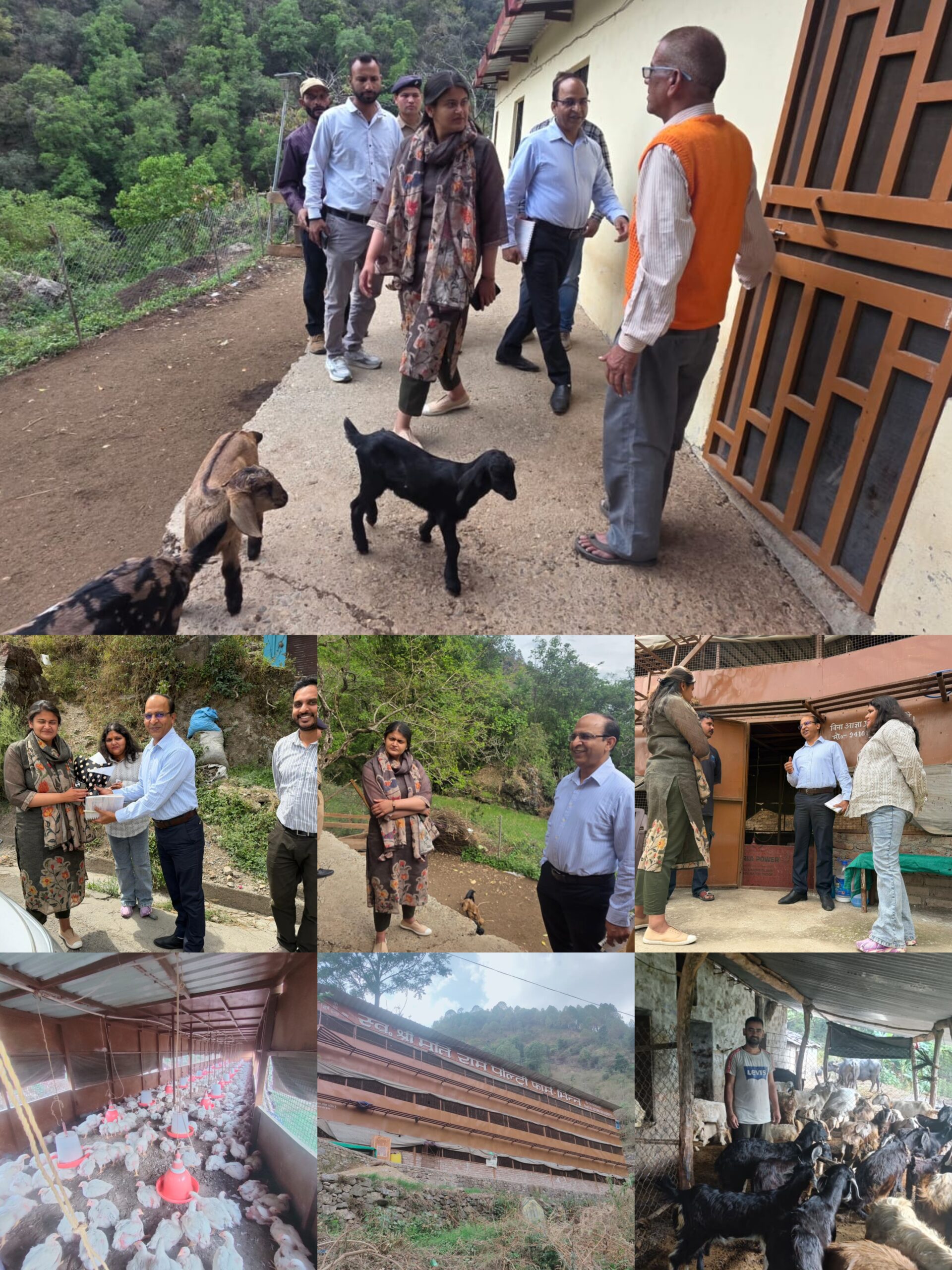 उत्तराखंड।।मुख्य विकास अधिकारी ने किया बकरी फार्म, बमुण्ड,व पोल्ट्री फार्म फकोट टिहरी गढ़वाल का किया निरीक्षण।